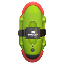 Capteur de vêlage Moocall